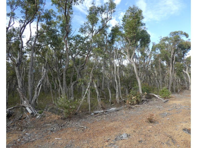 52 Northerly Retreat, Mount Barker WA 6324