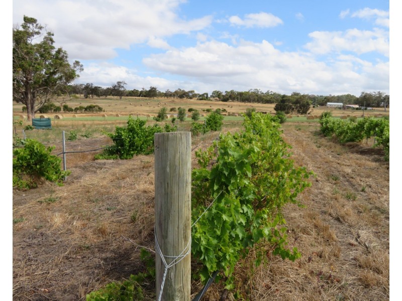 146 West Beattie Road, Kendenup WA 6323