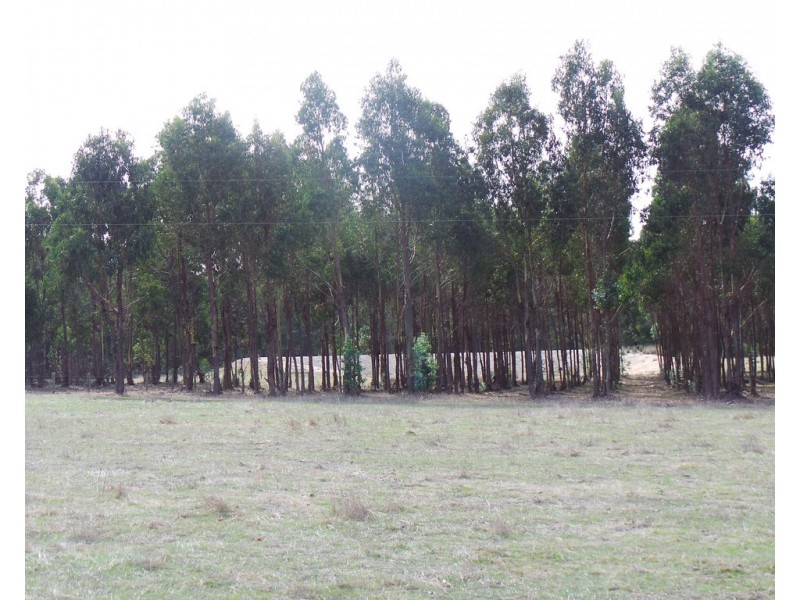 Lot 50 Sidcup Road, Perillup WA 6324