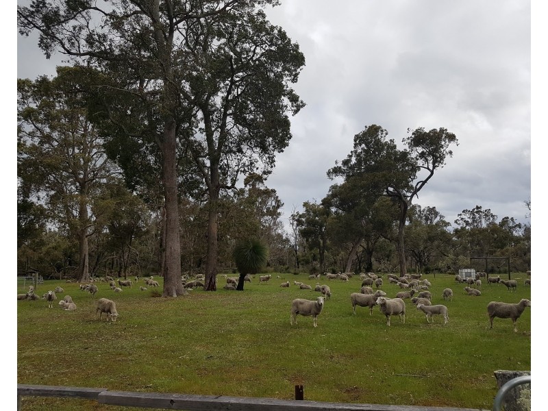 Lot 2250 and 900 Merfield Road, Rocky Gully WA 6397