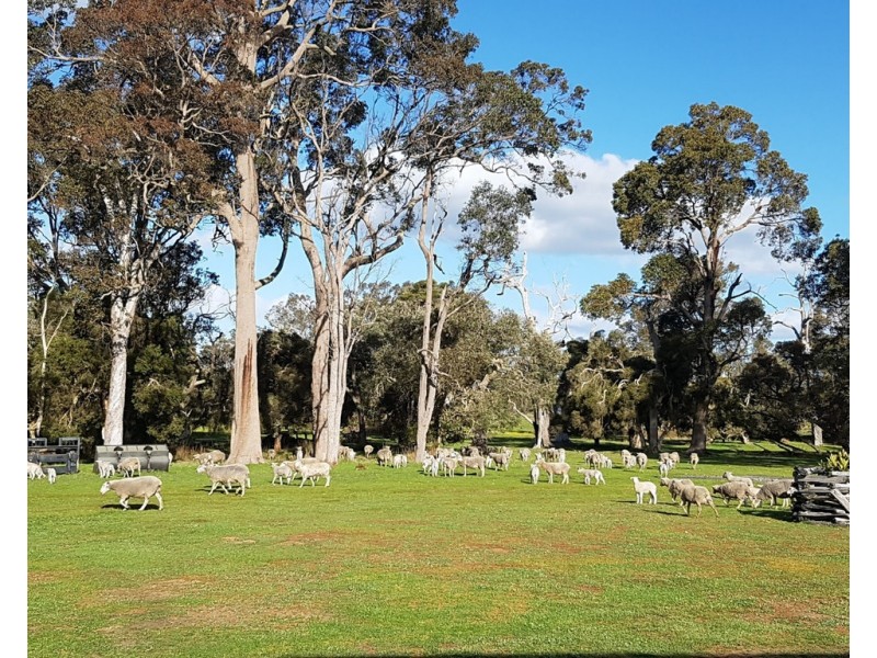 Lot 2250 and 900 Merfield Road, Rocky Gully WA 6397