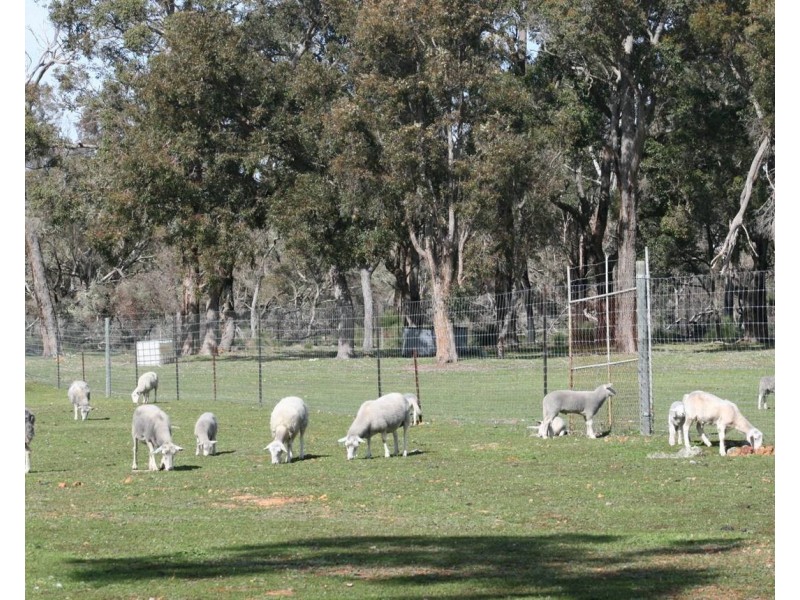 Lot 2250 and 900 Merfield Road, Rocky Gully WA 6397