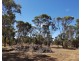 Lot 2250 and 900 Merfield Road, Rocky Gully WA 6397