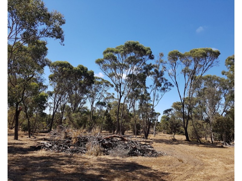 Lot 2250 and 900 Merfield Road, Rocky Gully WA 6397