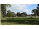 Lot 971 Sixth Avenue, Kendenup WA 6323