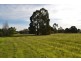 Lot 971 Sixth Avenue, Kendenup WA 6323