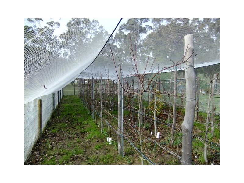 Lot 1853 Mallawillup Road, Mount Barker WA 6324