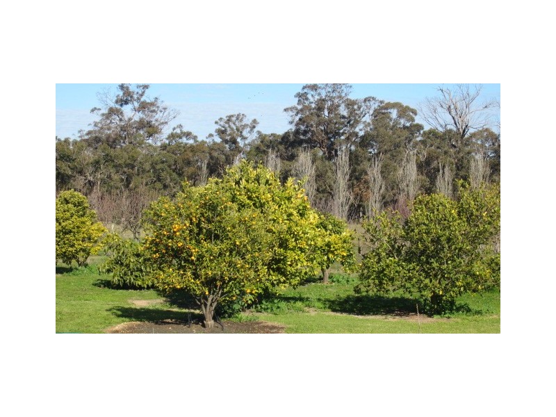 30803 Albany Highway, Mount Barker WA 6324