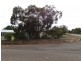 Lot 6391 Chauvel Road, Kendenup WA 6323