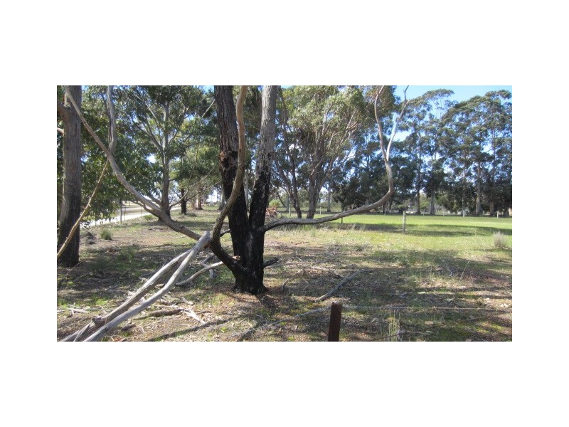Lot 265 First Avenue, Kendenup WA 6323