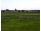 131 and 132 Bridge and Edward Street, Cranbrook WA 6321