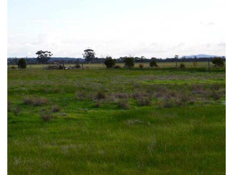 131 and 132 Bridge and Edward Street, Cranbrook WA 6321