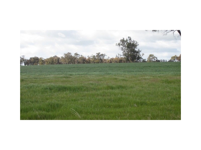 Lot 1 Martigallup Road, Kendenup WA 6323