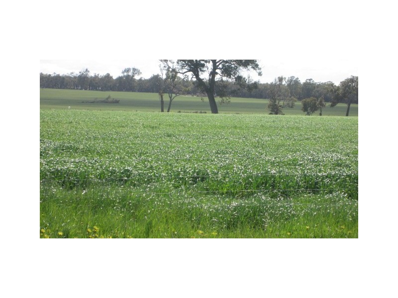 Lot 1 Martigallup Road, Kendenup WA 6323