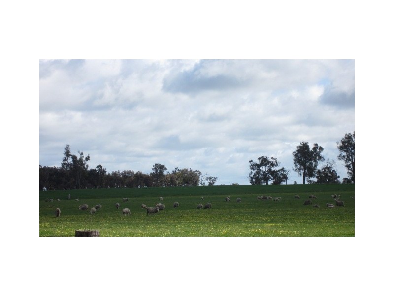 Lot 1 Martigallup Road, Kendenup WA 6323
