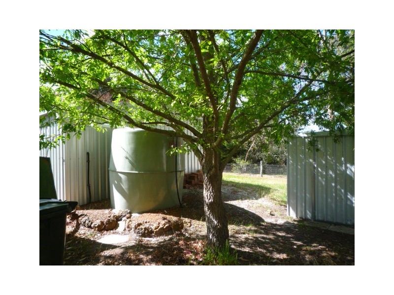 17 Martin Street, Mount Barker WA 6324