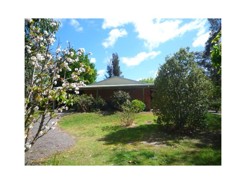 17 Martin Street, Mount Barker WA 6324