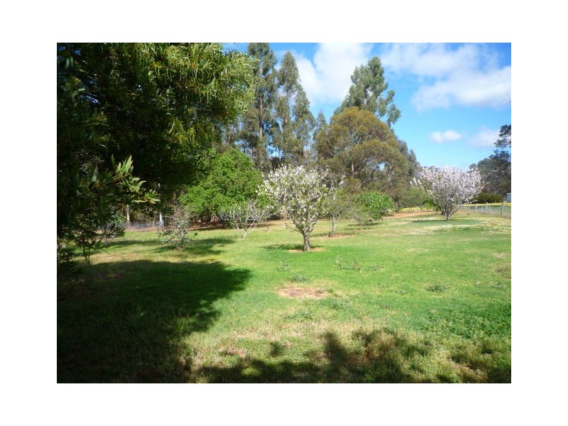 17 Martin Street, Mount Barker WA 6324