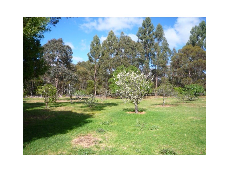 17 Martin Street, Mount Barker WA 6324