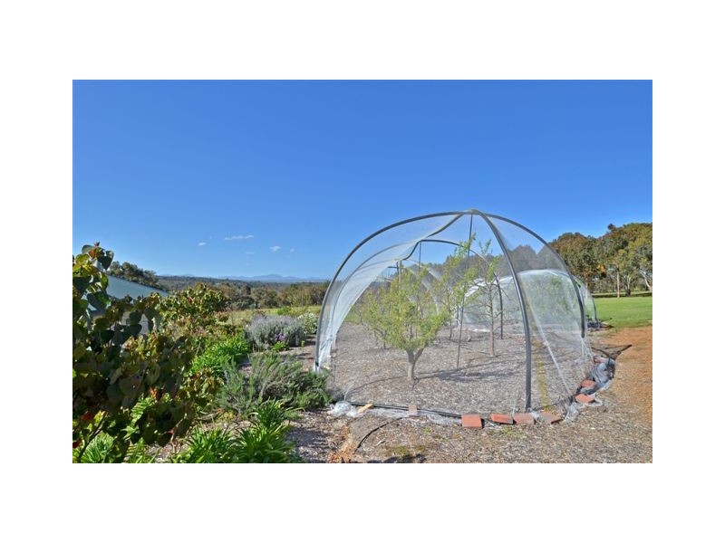 Lot 20 Orient Road, Mount Barker WA 6324