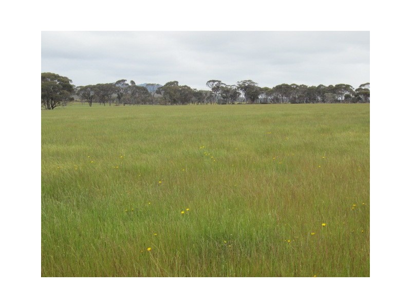 Lot 53 Surrey Downs Road, Porongurup WA 6324