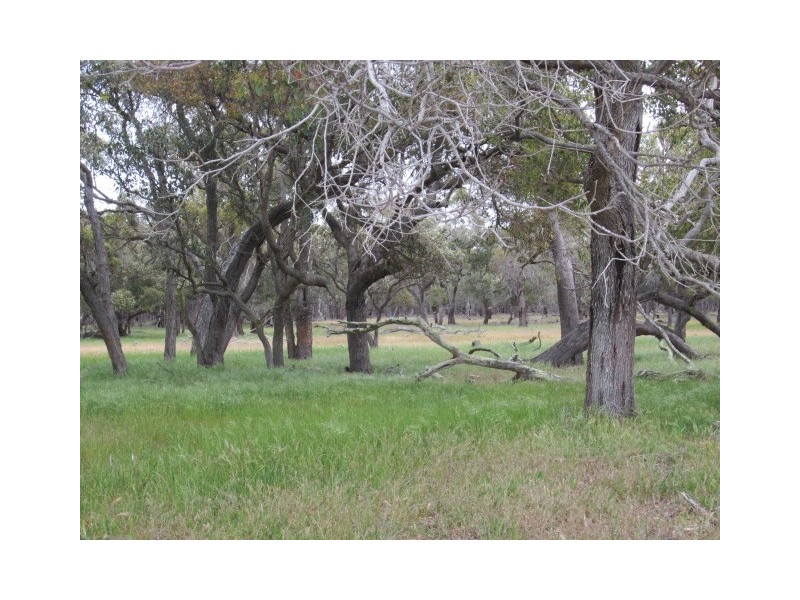 Lot 53 Surrey Downs Road, Porongurup WA 6324