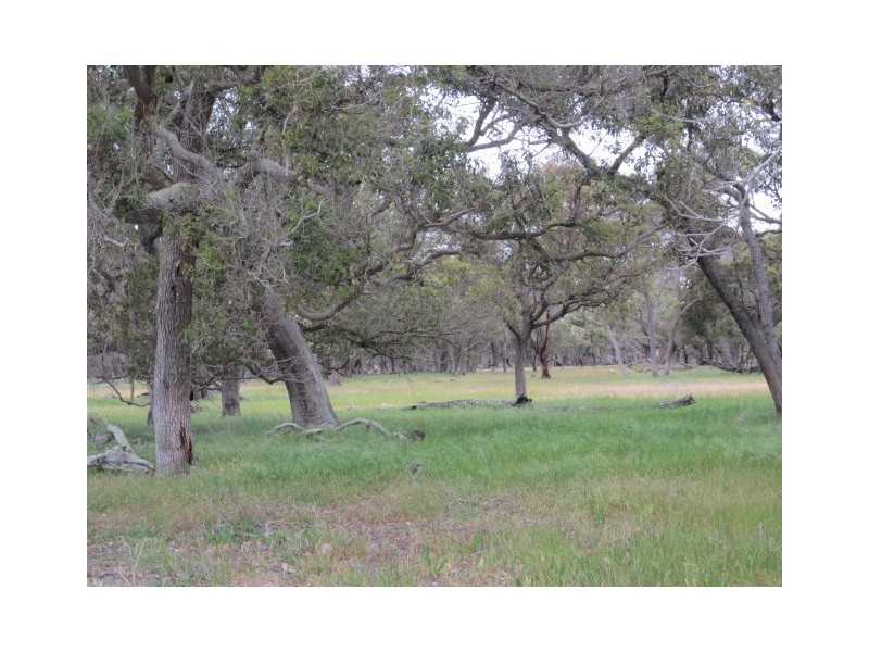 Lot 53 Surrey Downs Road, Porongurup WA 6324
