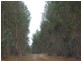 Lot 23 Morande Road, Mount Barker WA 6324