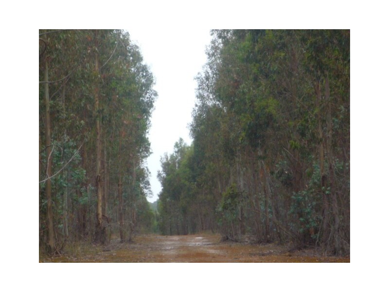 Lot 23 Morande Road, Mount Barker WA 6324