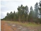 Lot 23 Morande Road, Mount Barker WA 6324