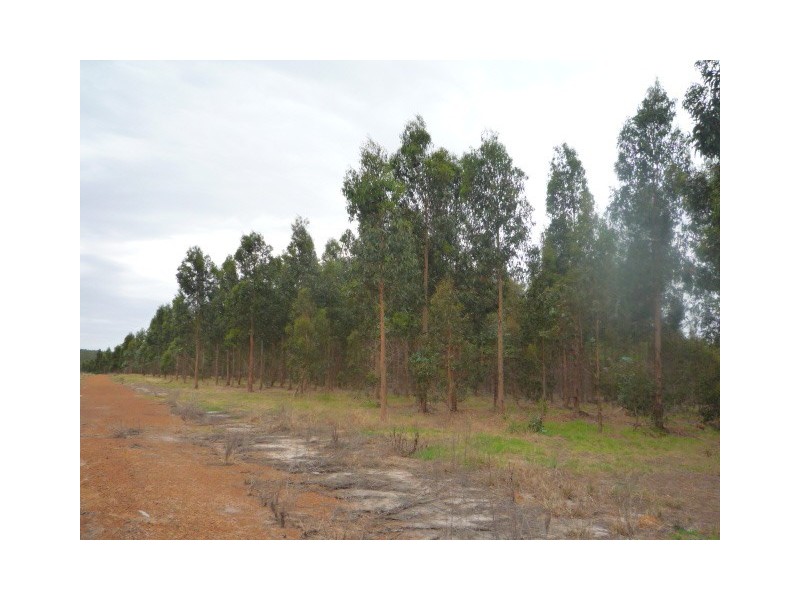 Lot 23 Morande Road, Mount Barker WA 6324