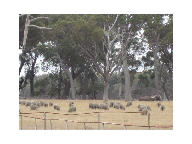 459 Brunton Road, Mount Barker WA 6324