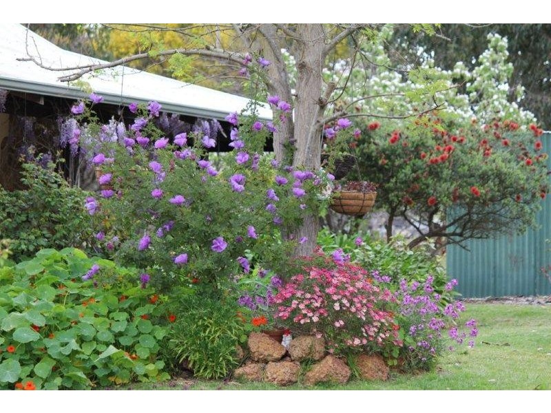 20 Mitchell Street, Mount Barker WA 6324