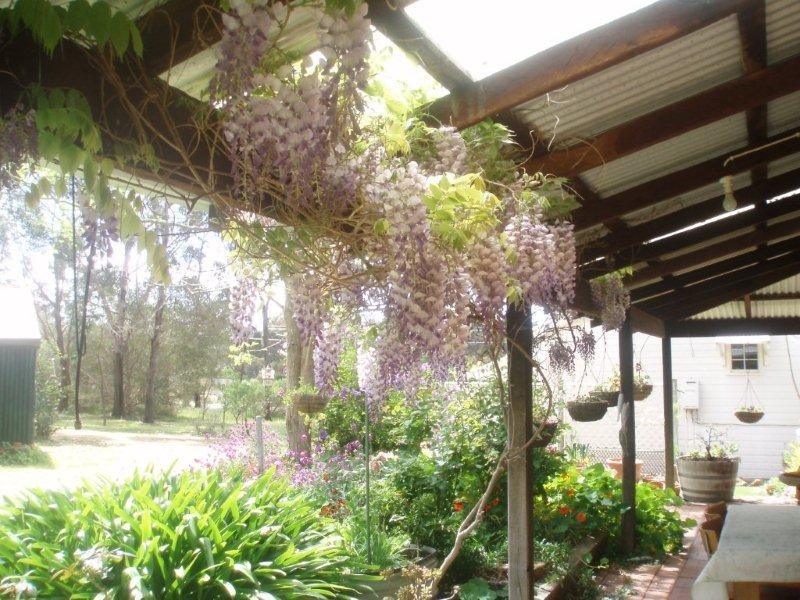 20 Mitchell Street, Mount Barker WA 6324