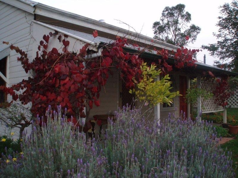 20 Mitchell Street, Mount Barker WA 6324