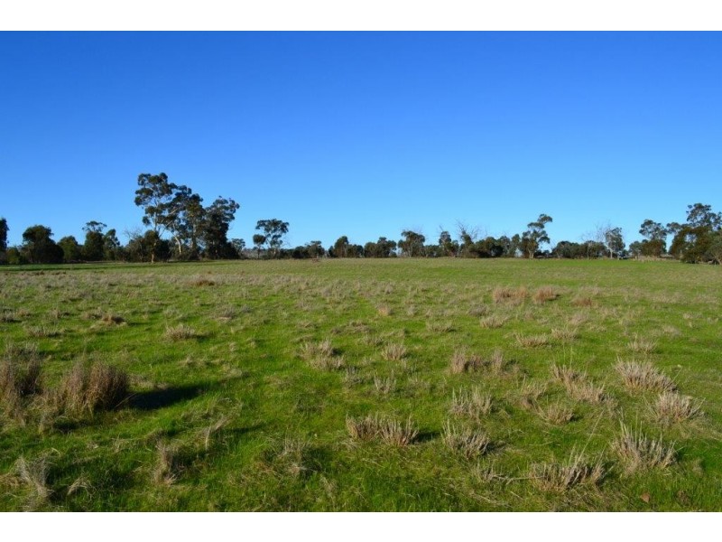 Lot 117 Cnr Moore and Brewer Street, Tenterden WA 6322