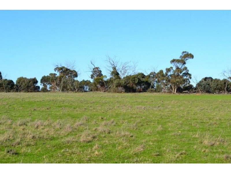 Lot 117 Cnr Moore and Brewer Street, Tenterden WA 6322