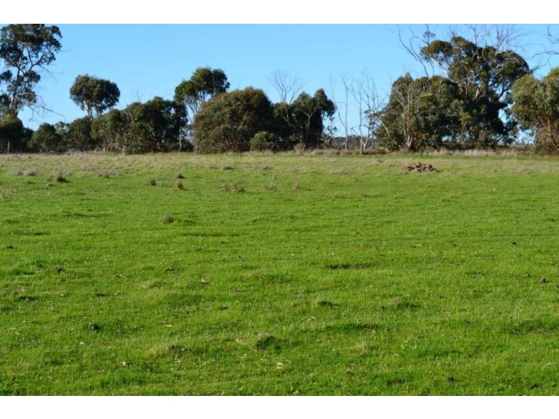 Lot 117 Cnr Moore and Brewer Street, Tenterden WA 6322