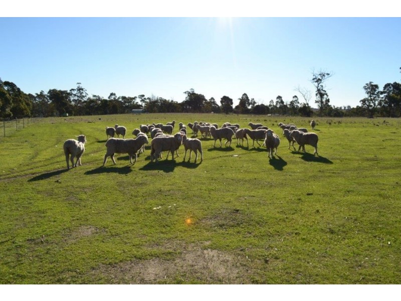Lot 117 Cnr Moore and Brewer Street, Tenterden WA 6322