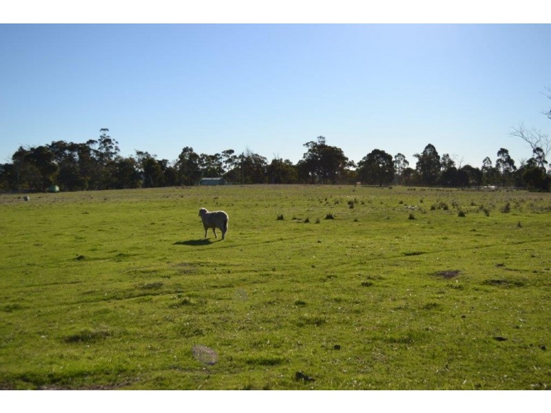 Lot 117 Cnr Moore and Brewer Street, Tenterden WA 6322