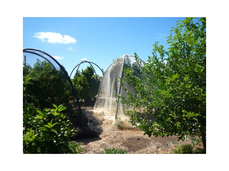 93 Ferry Road, Mount Barker WA 6324