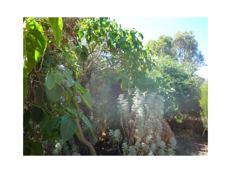 93 Ferry Road, Mount Barker WA 6324