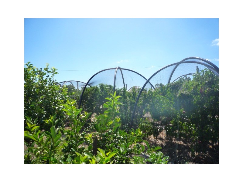 93 Ferry Road, Mount Barker WA 6324