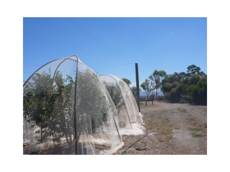 93 Ferry Road, Mount Barker WA 6324