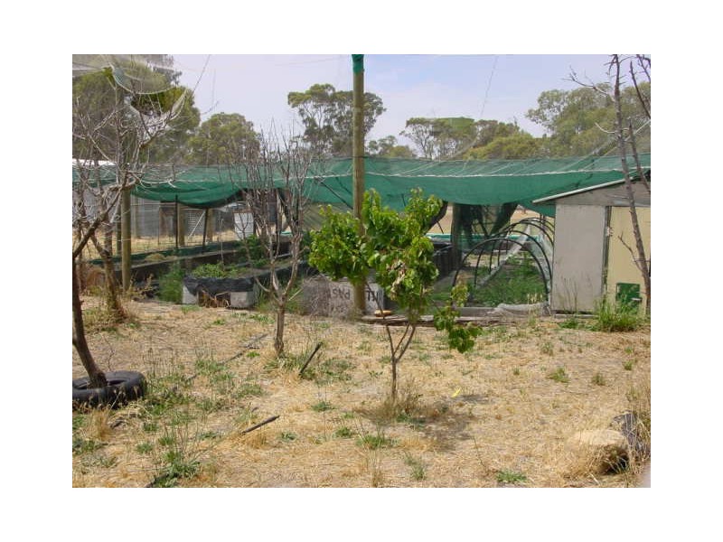 4 Hardy Street, Cranbrook WA 6321