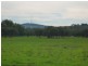 Lot 151 Lake Barnes Road, Narrikup WA 6326
