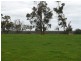Lot 103 Wilson Road, Mount Barker WA 6324