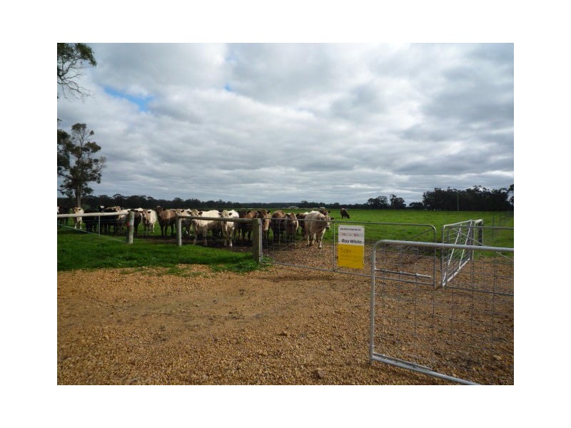 Lot 103 Wilson Road, Mount Barker WA 6324