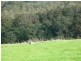 4 Lots St Werburghs Road, Mount Barker WA 6324