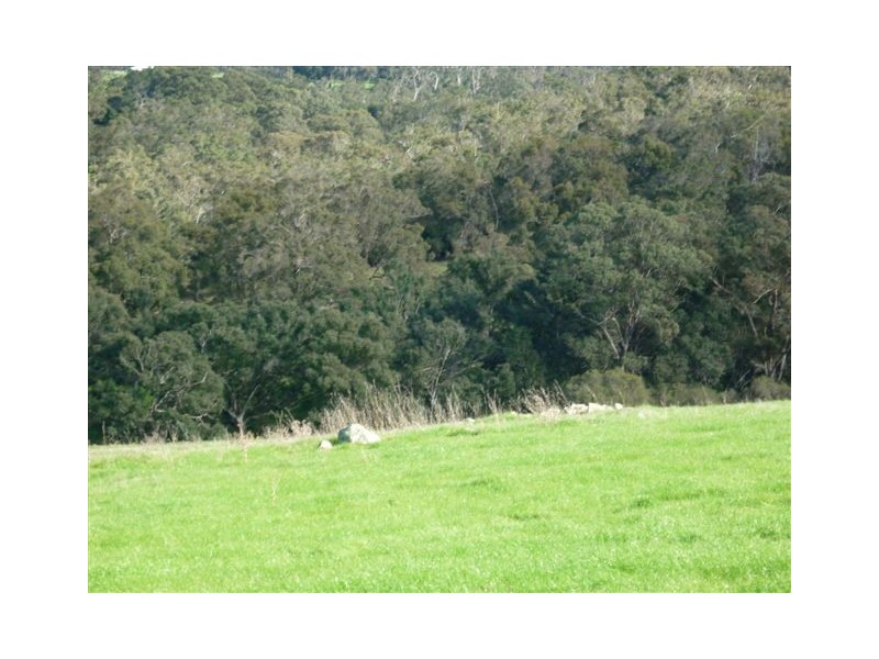 4 Lots St Werburghs Road, Mount Barker WA 6324